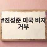 진성준 미국 비자 거부