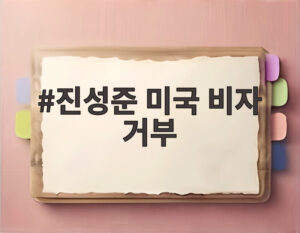 진성준 미국 비자 거부