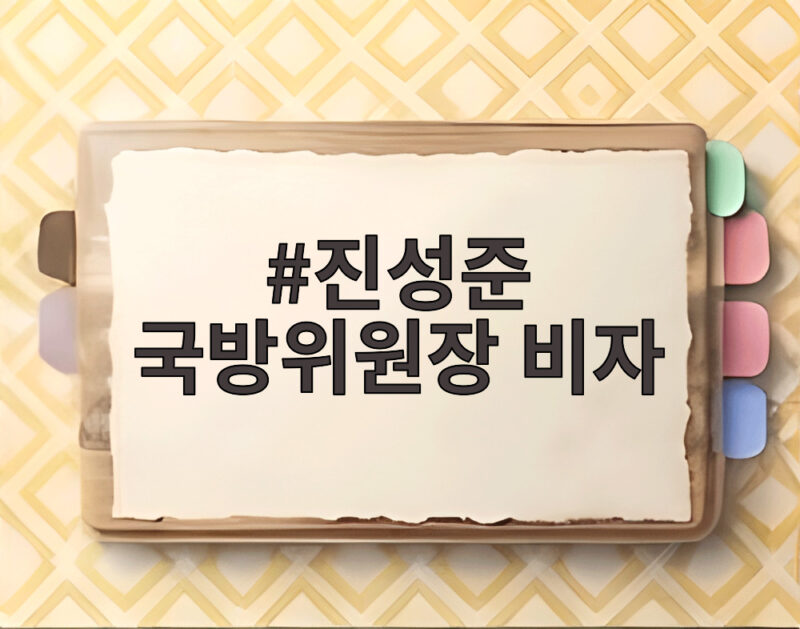 진성준 국방위원장 비자