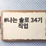 나는 솔로 34기 직업
