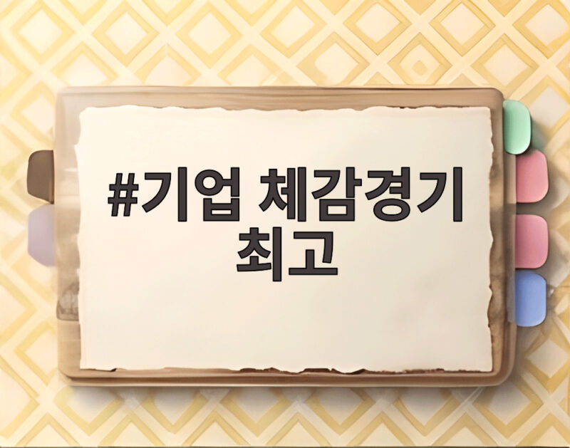 기업 체감경기 최고 4년 2개월 만에 기록한 이유 1 기업 체감경기 최고