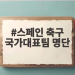 스페인 축구 국가대표팀 명단 월드컵 우승 멤버 대부분 그대로다 스페인 축구 국가대표팀 명단