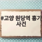고양 원당역 흉기 사건