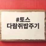 토스 다람쥐밥주기