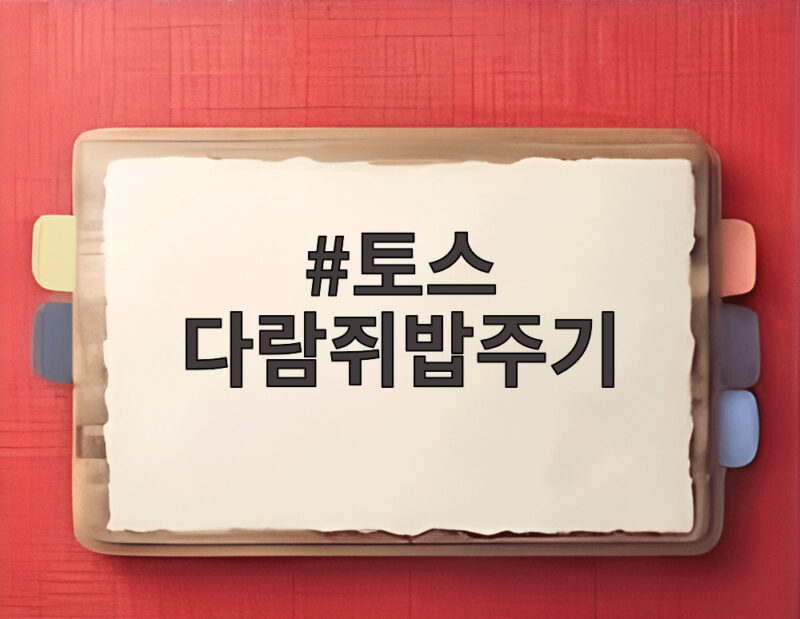 토스 다람쥐밥주기 1만원 받는 방법과 친구 초대 공략 1 토스 다람쥐밥주기