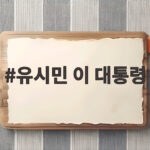 유시민 이 대통령 자해 발언 진짜 이유와 전망 유시민 이 대통령