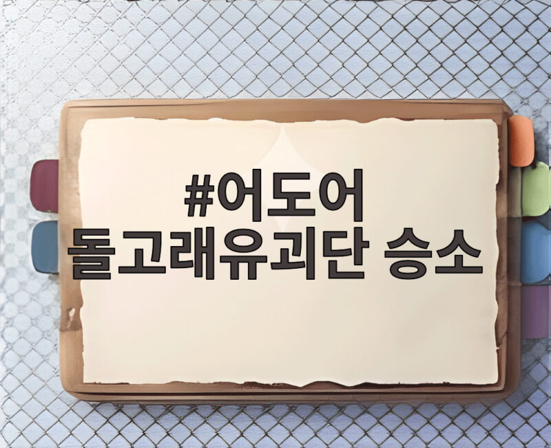 어도어 돌고래유괴단 승소