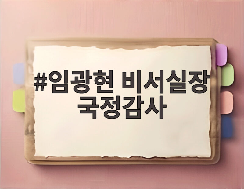 임광현 비서실장 국정감사 답변에서 눈길 끈 것 1 임광현 비서실장 국정감사