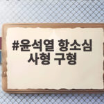 윤석열 항소심 사형 구형