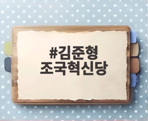 김준형 조국혁신당