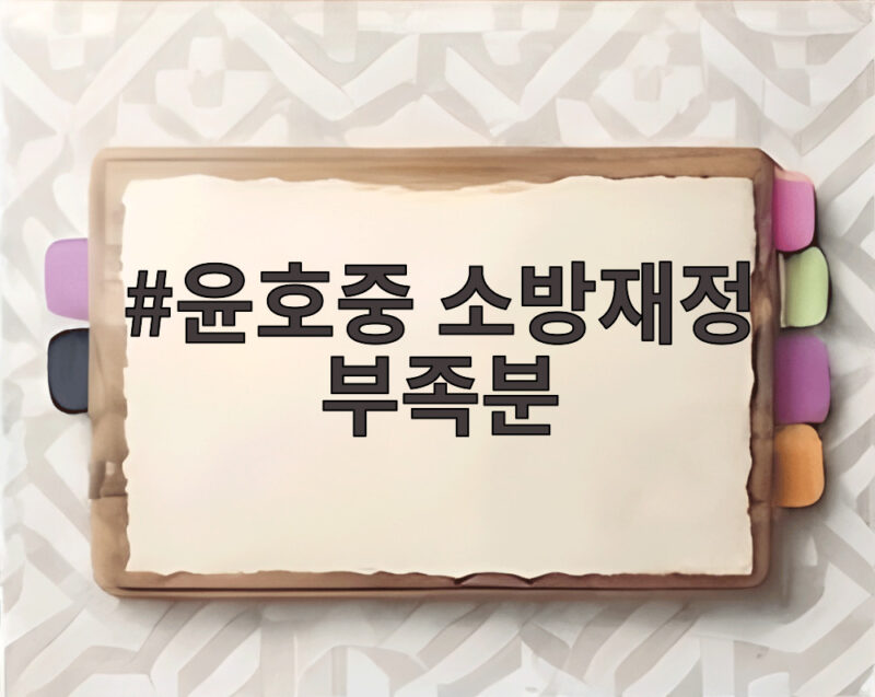 윤호중 소방재정 부족분