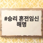 승리 혼전임신 해명 직접 밝힌 입장과 진실 알아보기 승리 혼전임신 해명