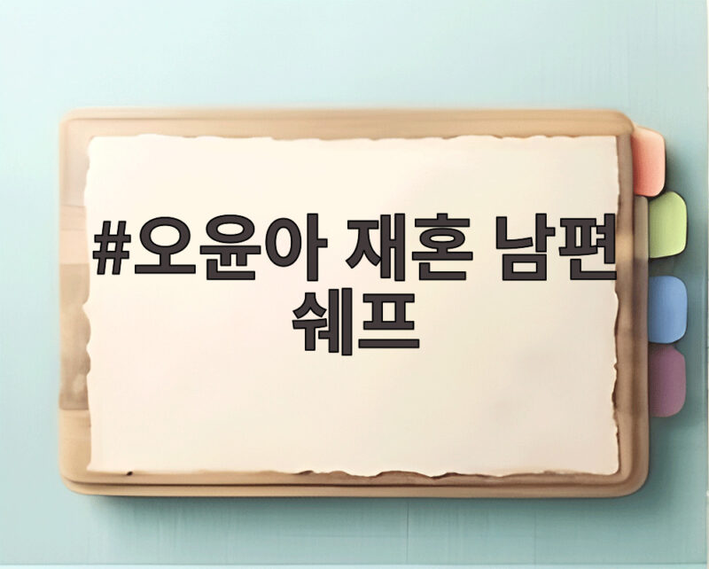 오윤아 재혼 남편 쉐프
