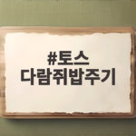 토스 다람쥐밥주기