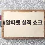 알파벳 실적 쇼크 AI 투자 거품인가 뉴욕증시 출렁인 이유 알파벳 실적 쇼크