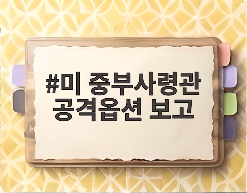 미 중부사령관 공격옵션 보고