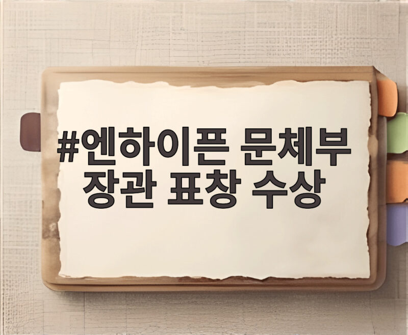 엔하이픈 문체부 장관 표창 수상