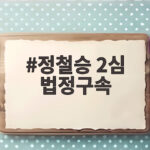 정철승 2심 법정구속 선고와 피해자 보호 의미 살펴보기 정철승 2심 법정구속