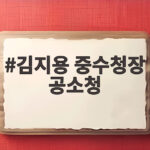 김지용 중수청장 공소청