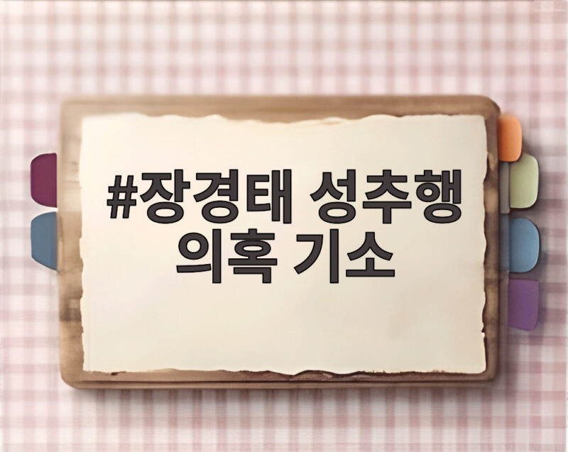 장경태 성추행 의혹 기소