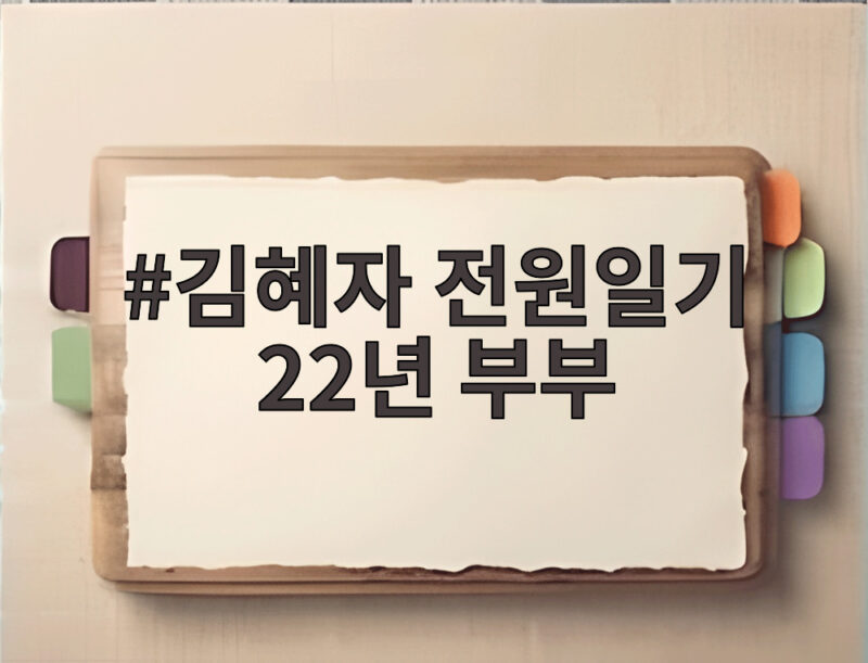 김혜자 전원일기 22년 부부 추억과 애정이 뭉클하게 다가온다 1 김혜자 전원일기 22년 부부