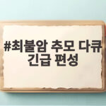 최불암 추모 다큐 긴급 편성 KBS와 MBC의 특별한 추모 방송 알아보기 최불암 추모 다큐 긴급 편성