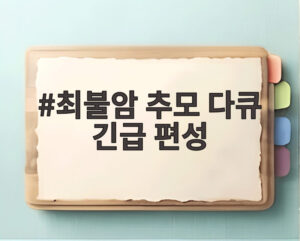 최불암 추모 다큐 긴급 편성