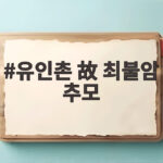 유인촌 고 최불암 추모 애도 속 국민 아버지의 마지막 길 유인촌 故 최불암 추모