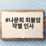 나문희 최불암 작별 인사 빈소에서 건넨 정말 애틋한 마지막 말 나문희 최불암 작별 인사