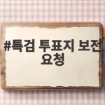 특검 투표지 보전 요청 선관위 현장 검증 이후 어떻게 되나 특검 투표지 보전 요청