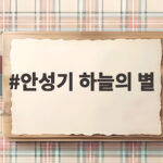안성기 하늘의 별