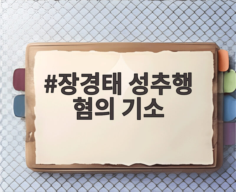 장경태 성추행 혐의 기소