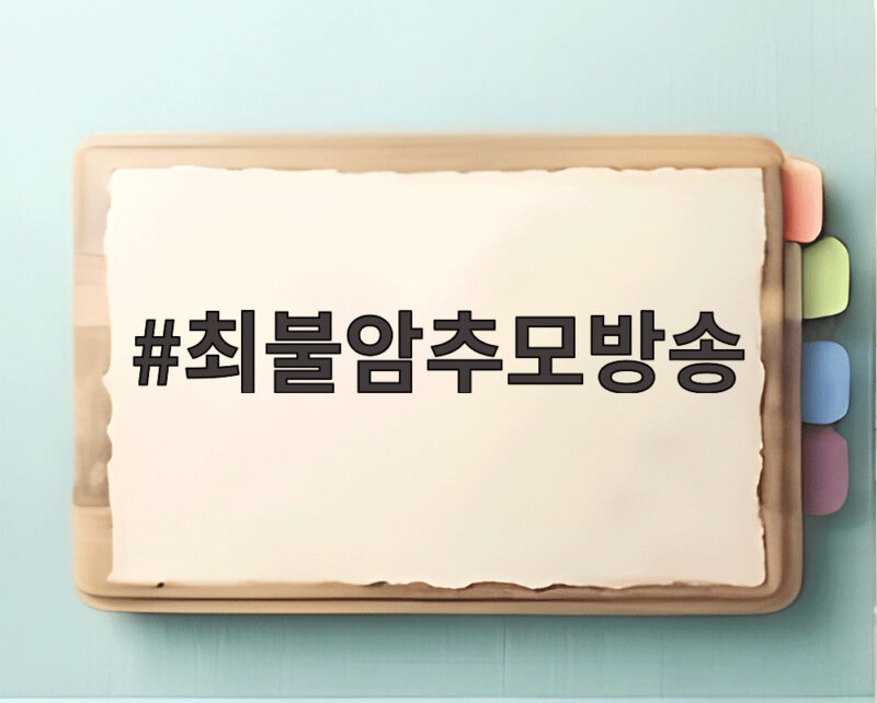 최불암추모방송 KBS와 MBC 특집 다큐로 다시 만난다 1 최불암추모방송
