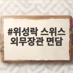 위성락 스위스 외무장관 면담 한반도 정세 어떤 논의 오갔나 위성락 스위스 외무장관 면담