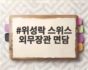 위성락 스위스 외무장관 면담