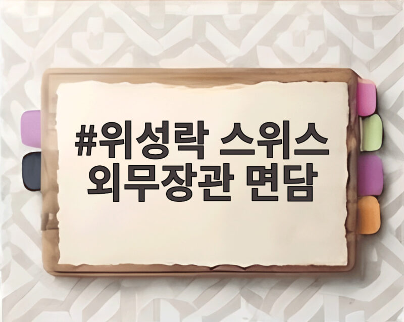 위성락 스위스 외무장관 면담 한반도 정세 어떤 논의 오갔나 1 위성락 스위스 외무장관 면담