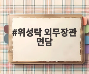 위성락 외무장관 면담