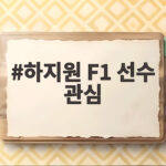 하지원 F1 선수 관심 폭발 연봉 천억 베르스타펜 여자친구는 하지원 F1 선수 관심