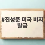 진성준 미국 비자 발급 우여곡절 끝 태평양사령부 간다 진성준 미국 비자 발급