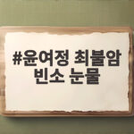 윤여정 최불암 빈소 눈물로 전한 애도와 전원일기 부부의 마지막 윤여정 최불암 빈소 눈물