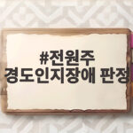 전원주 경도인지장애 판정