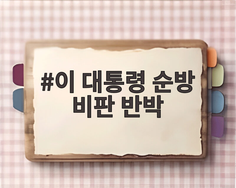 이 대통령 순방 비판 반박 SNS 메시지 무엇이었나 1 이 대통령 순방 비판 반박