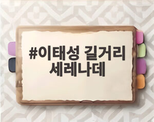 이태성 길거리 세레나데