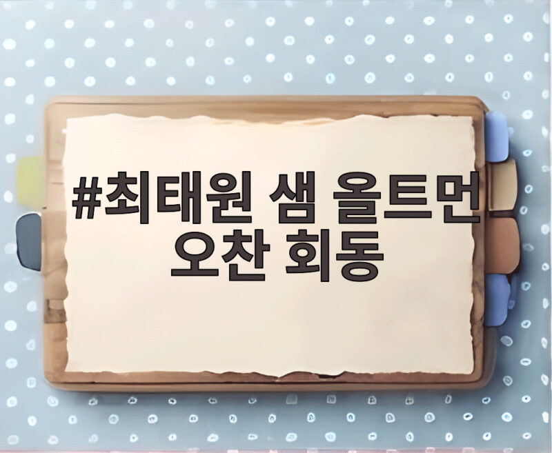 최태원 샘 올트먼 오찬 회동