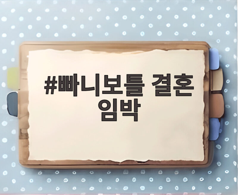 빠니보틀 결혼 임박 SNS 축 결혼 선물과 10살 연하 여자친구 1 빠니보틀 결혼 임박