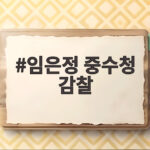 임은정 중수청 감찰