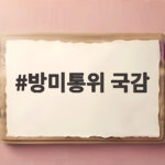 방미통위 국감