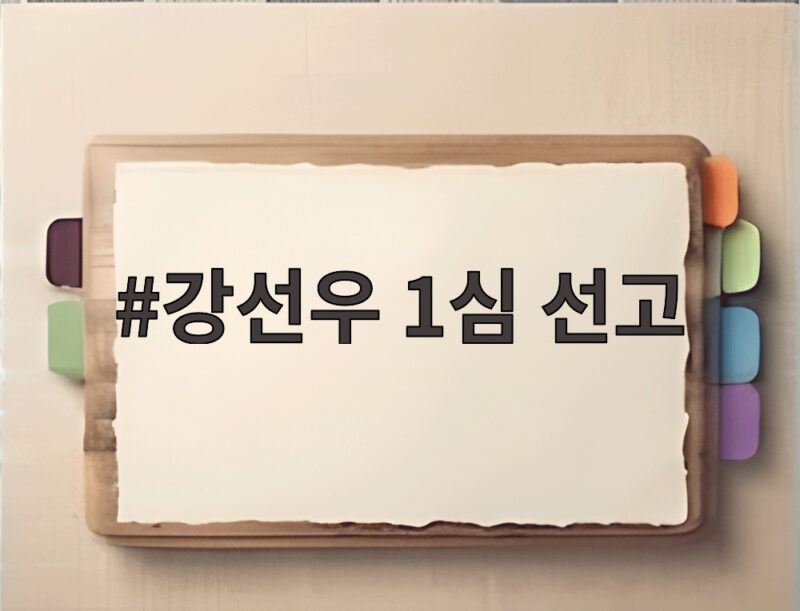 강선우 1심 선고