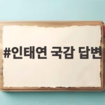 인태연 국감 답변