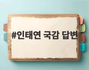 인태연 국감 답변